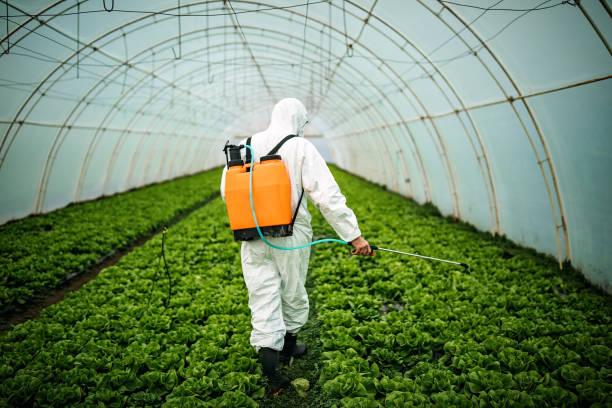 Best Pest Inspection Near Me  in Grinnell, IA