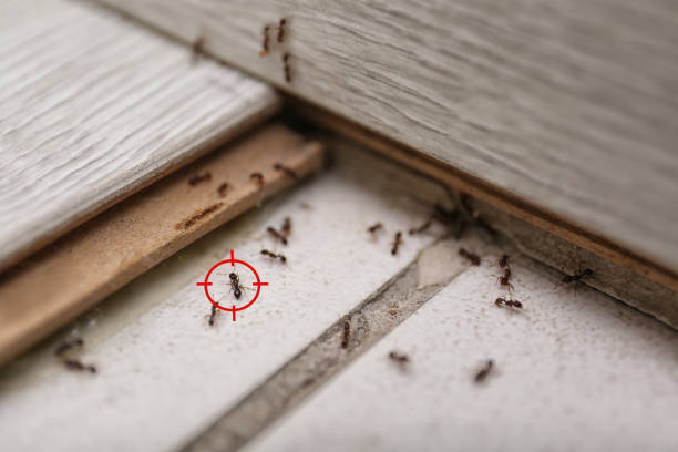 Best Mosquito Control Services  in Grinnell, IA