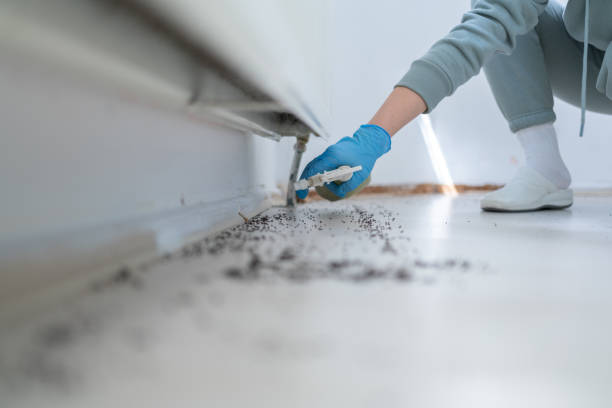 Reliable Grinnell, IA Pest Control Solutions